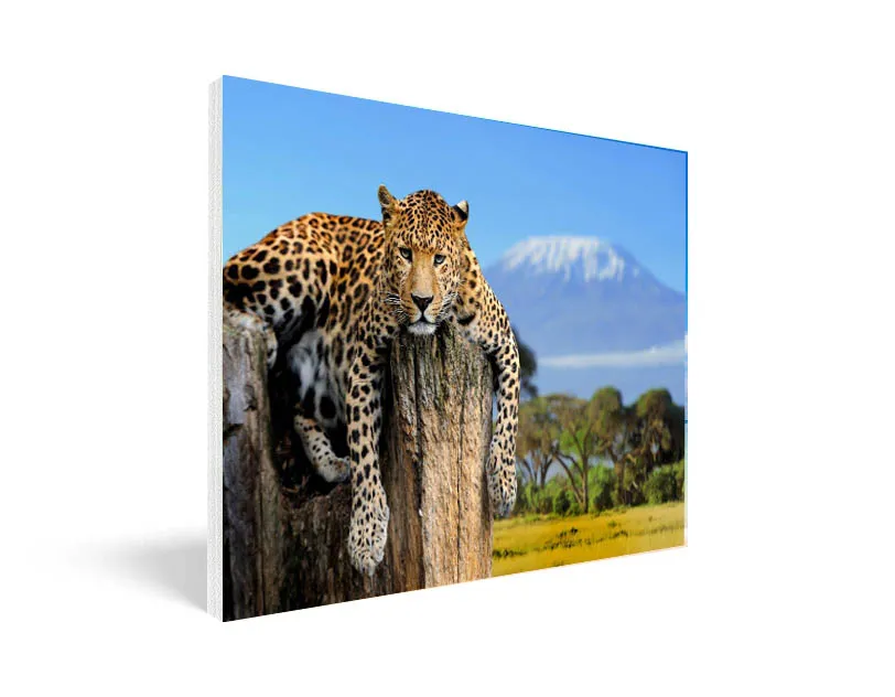 הדפסה על קאפה