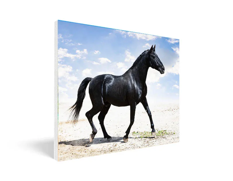 הדפסה על נייר פוטו באיכות גבוהה